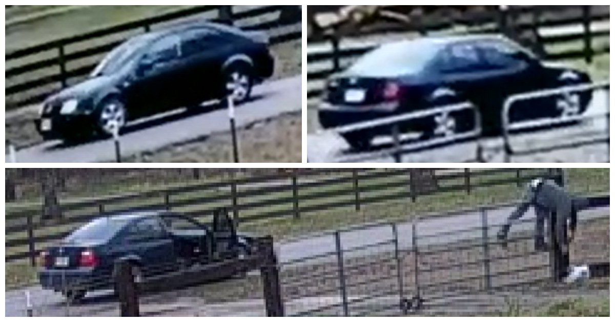Collage of black car on property and man bent over a gate reaching an item